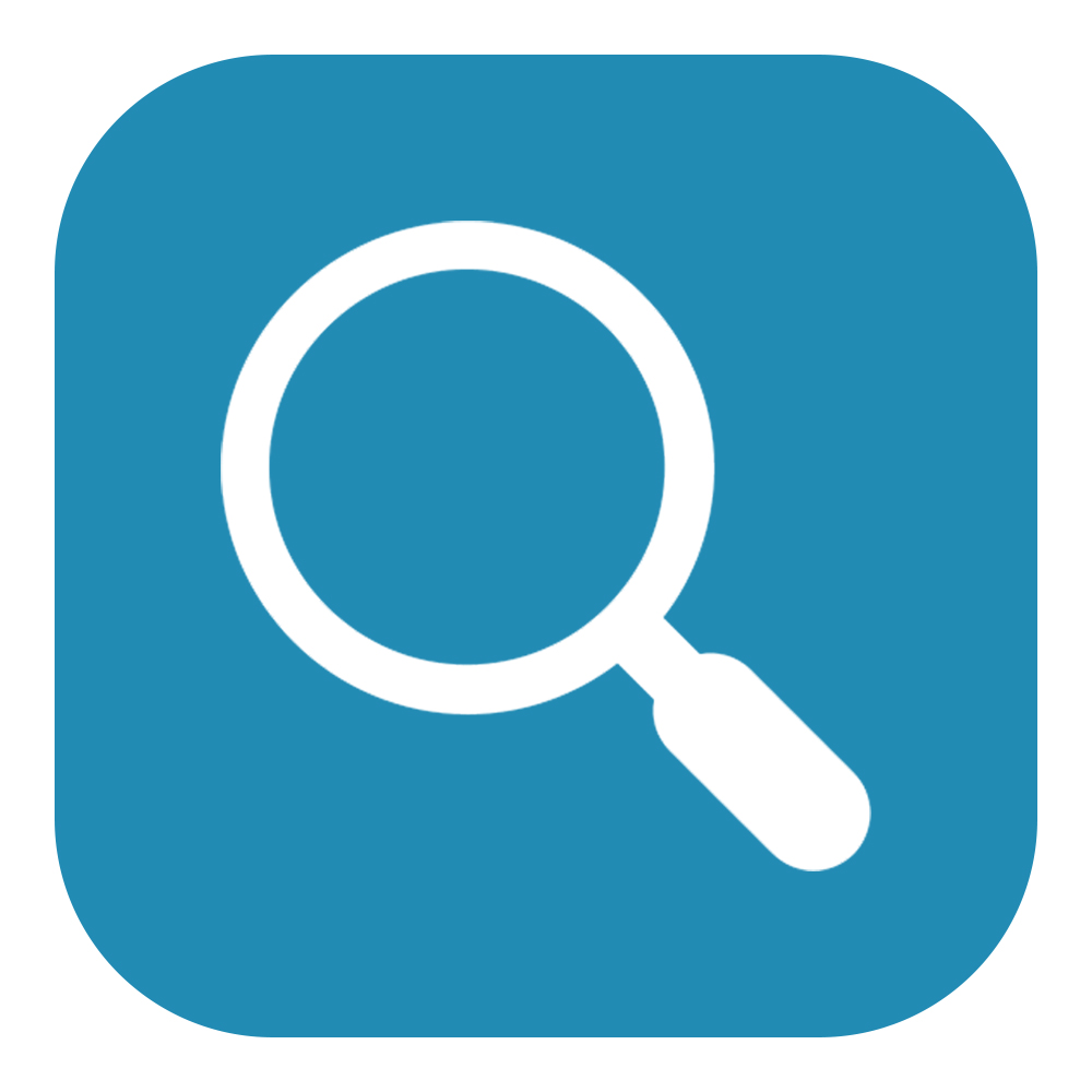 Analyse- und Optimierungs-Paket*